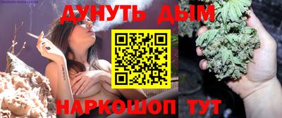 сатива Нальчик