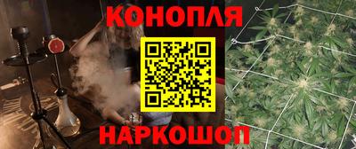 сатива Нальчик