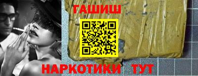 сатива Нальчик
